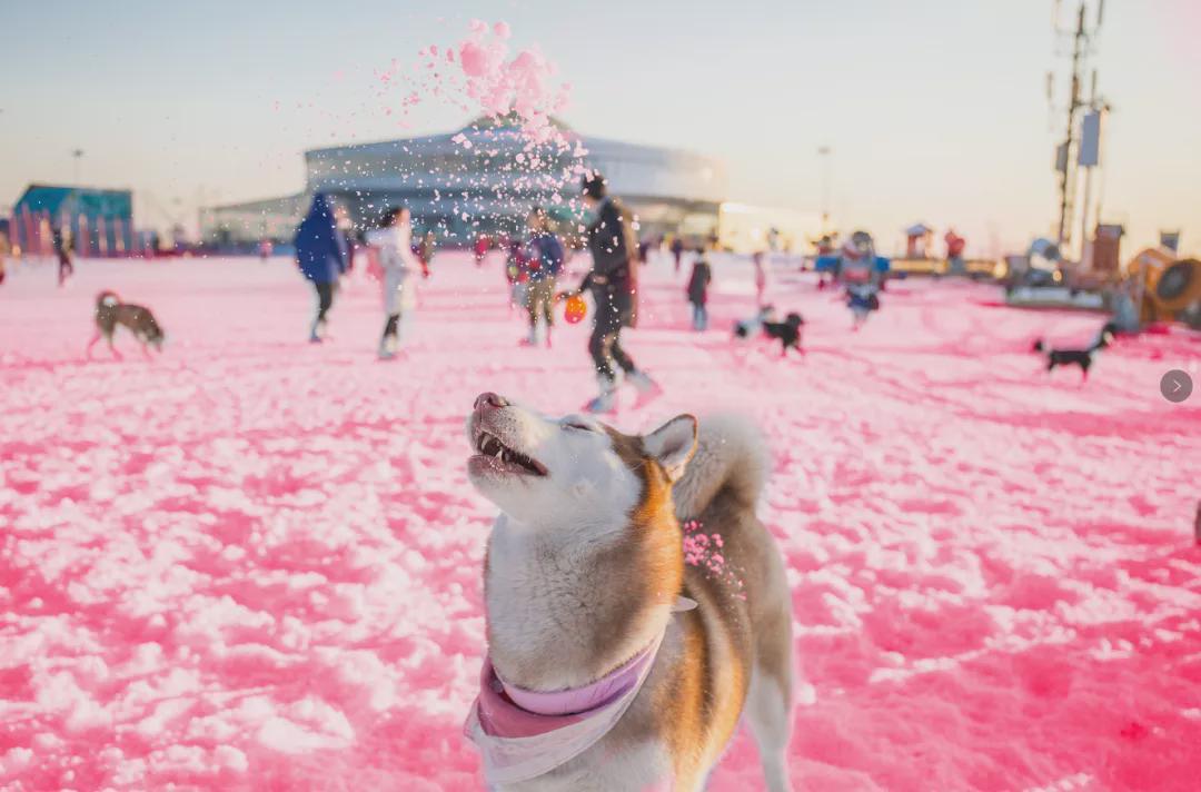小信的世界最新科技前沿產(chǎn)品亮相，生活變革從此刻啟程