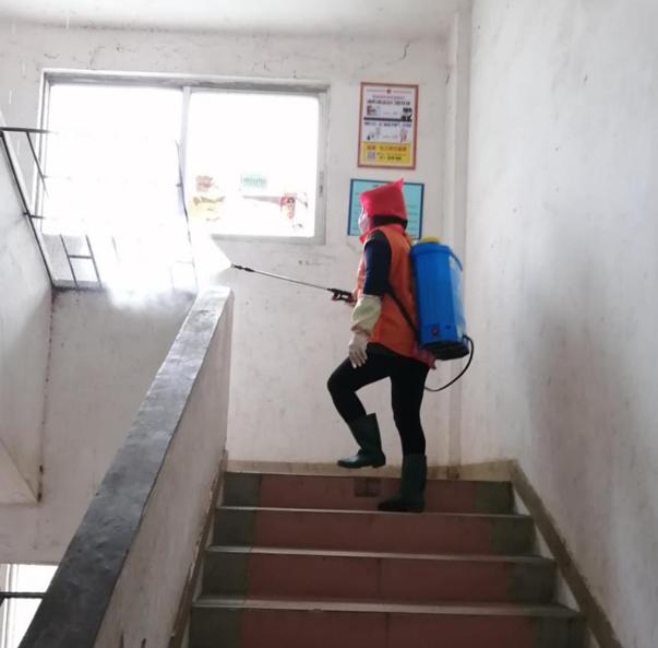 蓬江區(qū)最新高科技住宅，重塑未來(lái)生活體驗(yàn)的首選之地