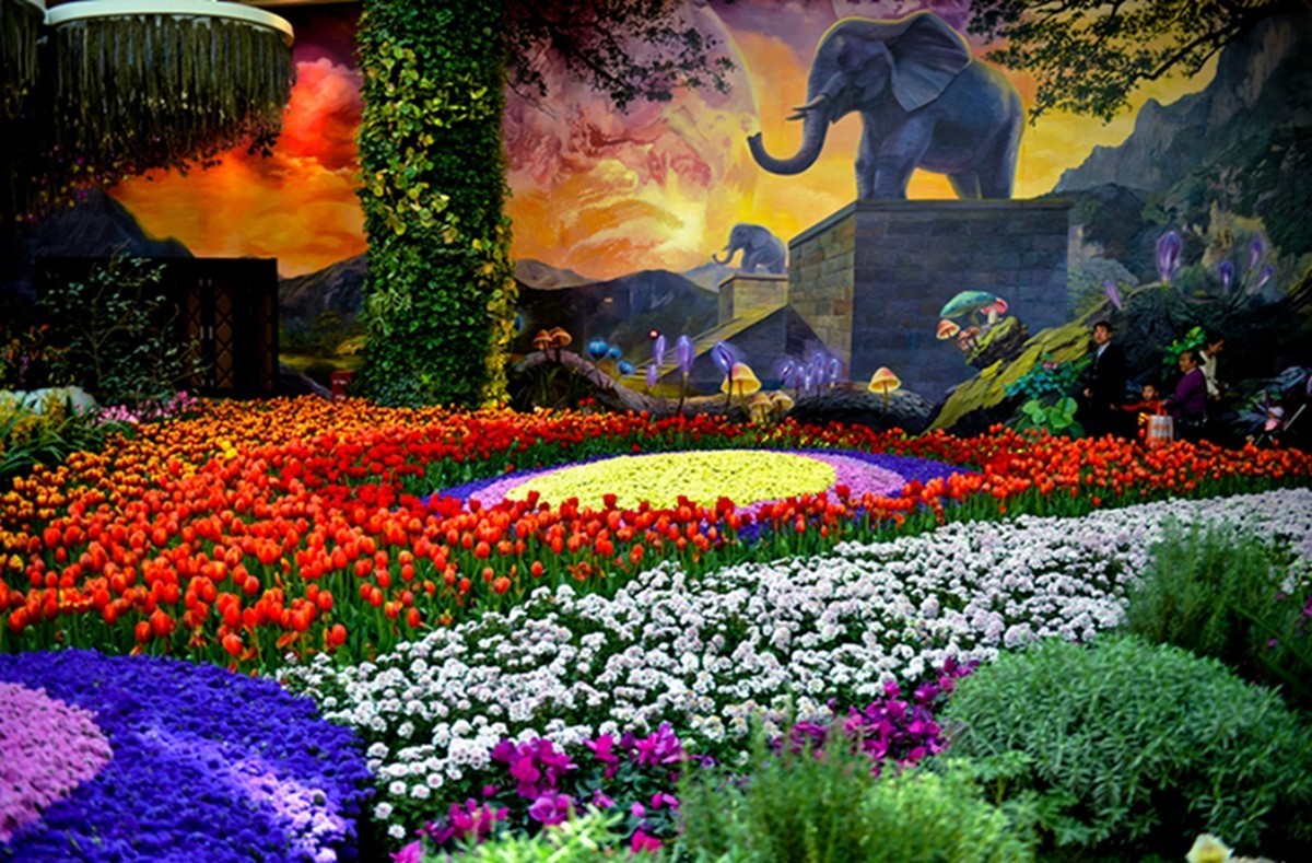 花境最新版，探索最新花卉世界的奧秘與魅力