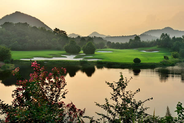 風水最新動態(tài)，日常小事中的風水奧秘與溫馨解讀