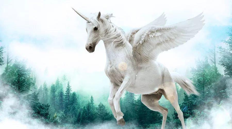 中國最新獨角獸，自信與成就感的源泉